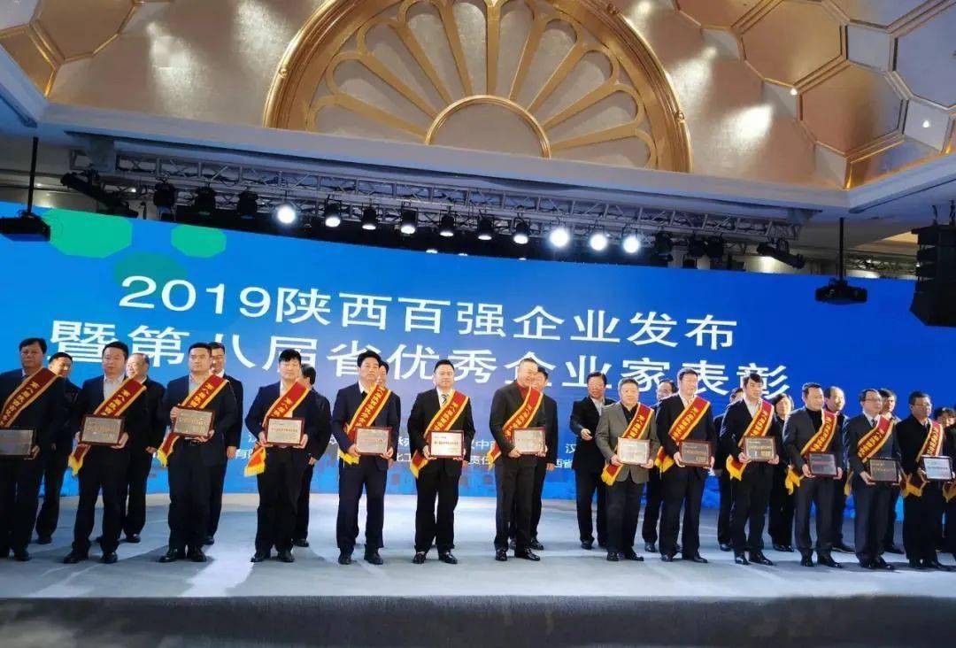 记陕西海燕新能源(集团)有限公司党支部书记 副董事长 王海峰_发展