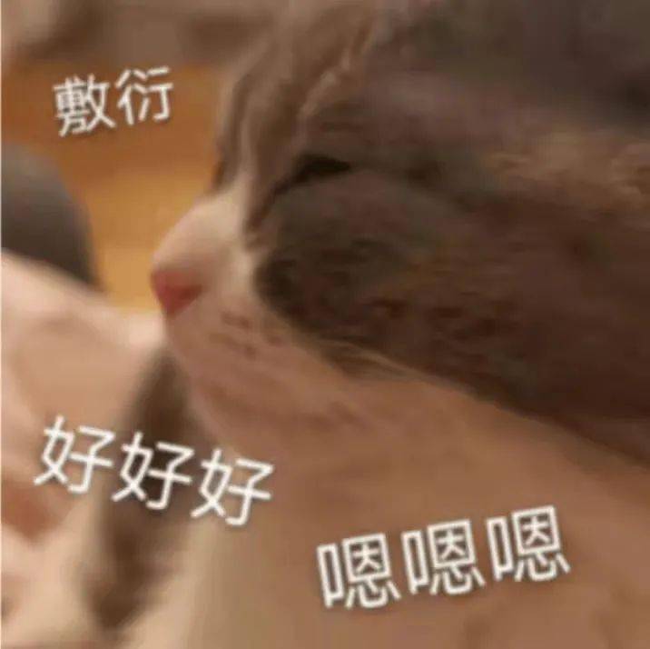 老婆|【聊天室】麻醉没清醒时的迷惑行为，好家伙这是麻倒了还是喝多了？