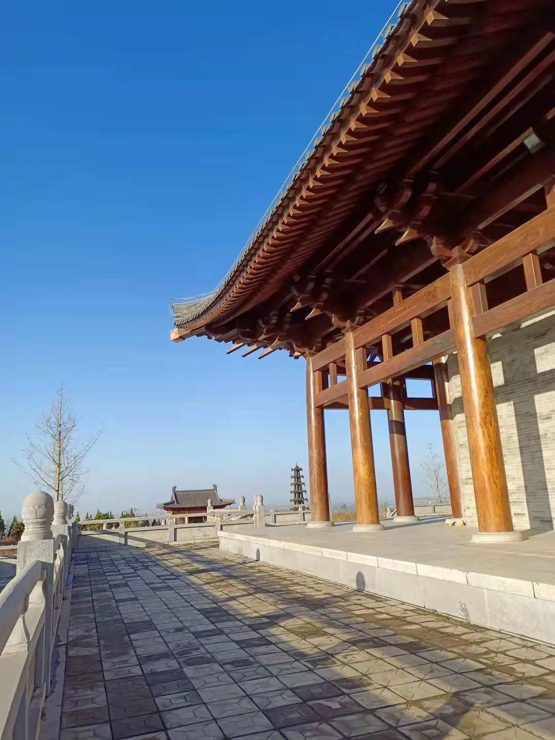 冬日一游"周至仙游寺"_侯洁