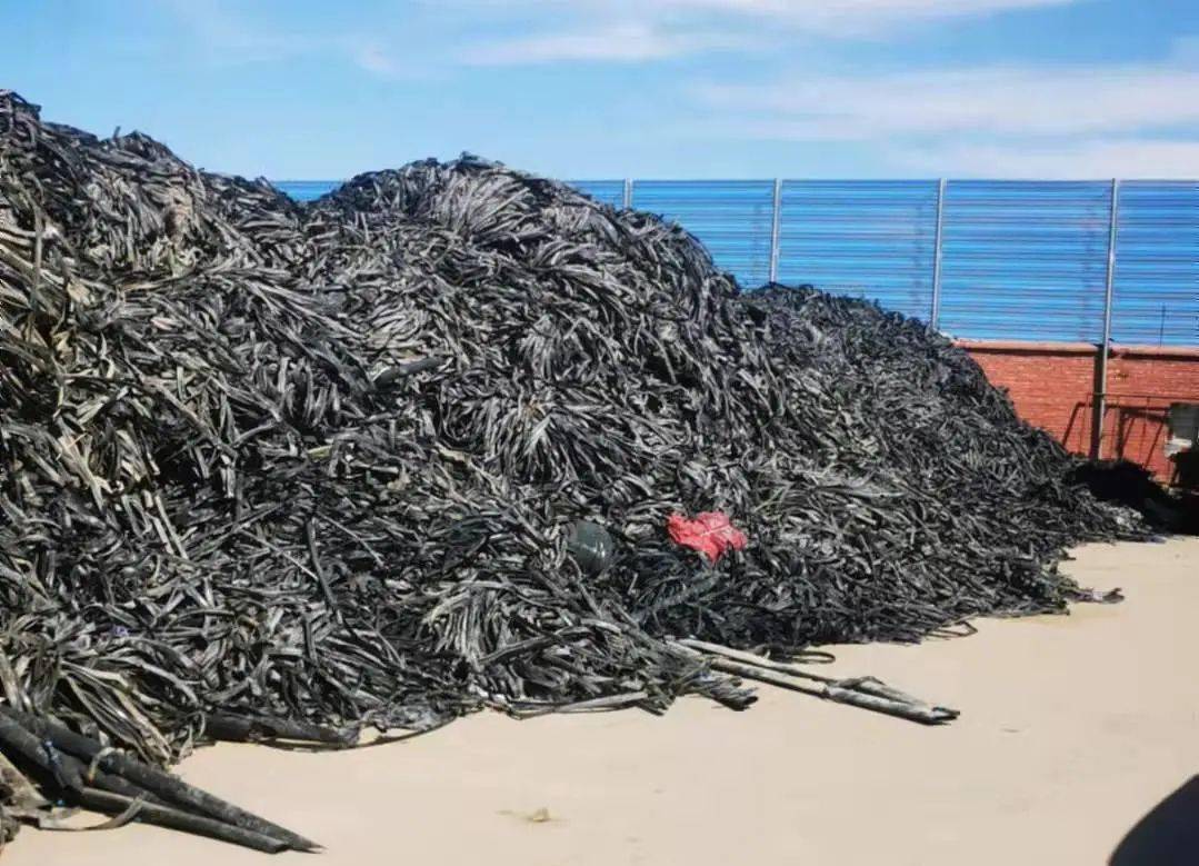 关于"以旧换新"及废旧农膜交售的公告