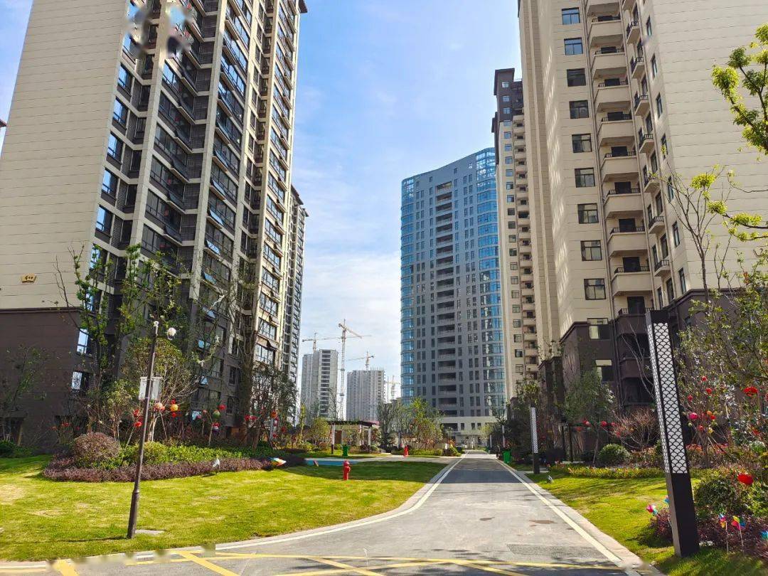 天盟阅江山丨零距离触碰实景,方寸细节里鉴证品质家_生活