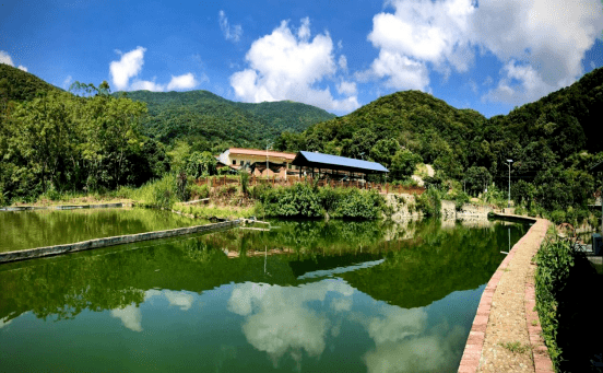 旅遊重點村——浦北縣北通鎮清湖村清湖村位於廣西壯族自治區欽州市