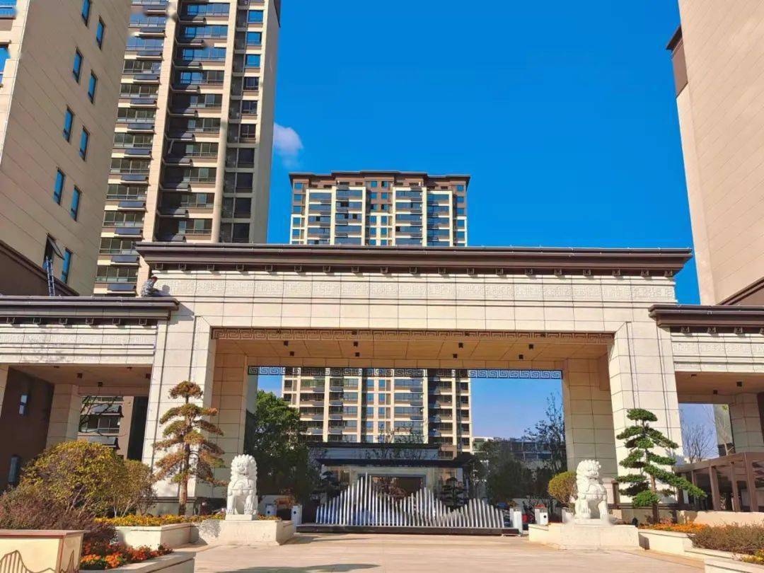 天盟阅江山丨零距离触碰实景,方寸细节里鉴证品质家_生活