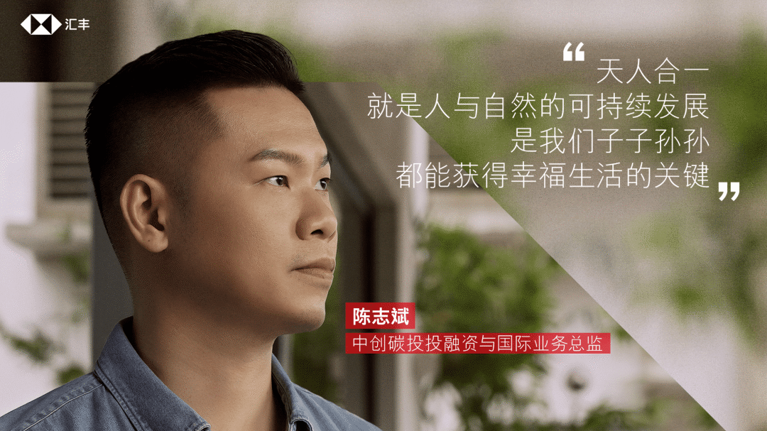 东南大学陈志斌哪里人(东南大学张志强)