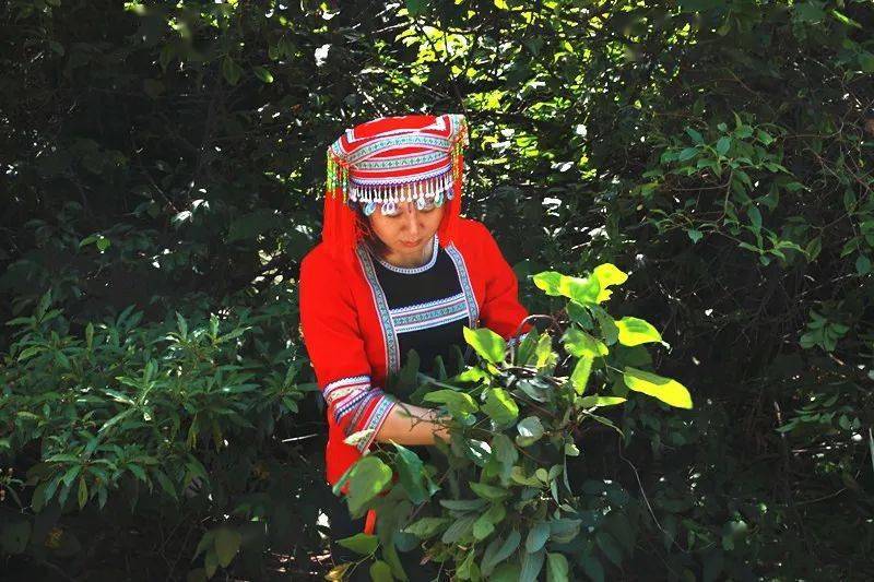 部位|注意：湿气重的人，身上这2个部位会“变大”，再忙也要看看！