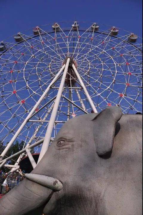 迎泽公园内大象滑梯露出了崭新的面容