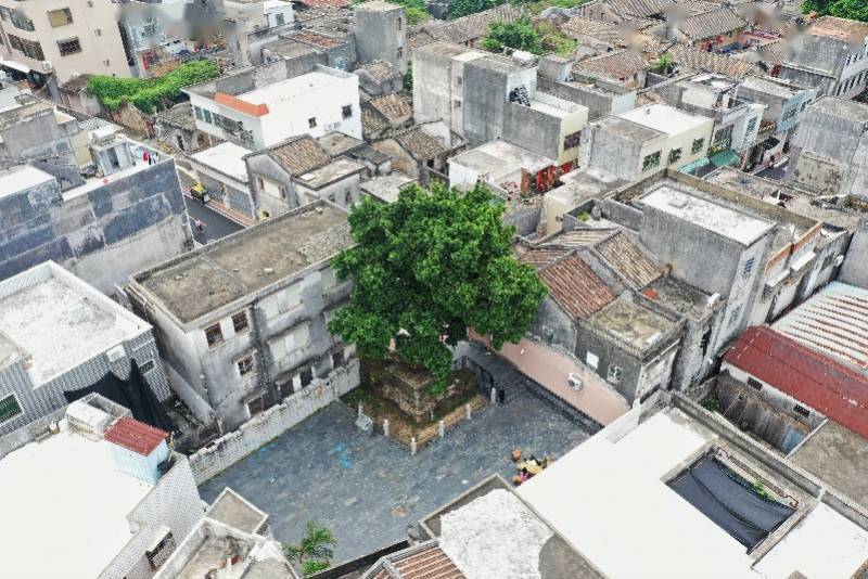 汕尾捷胜所城文捷武胜风华美六百年城大雅乡