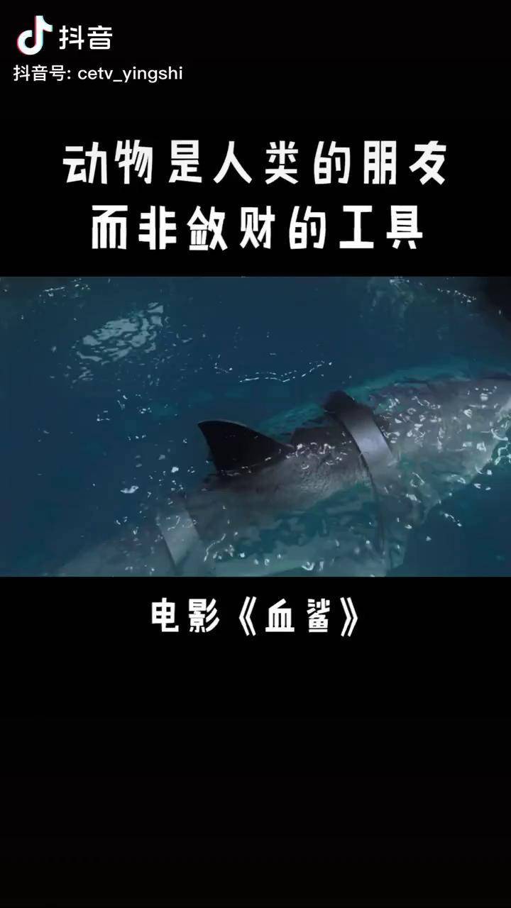 鲨鱼灾电影图片