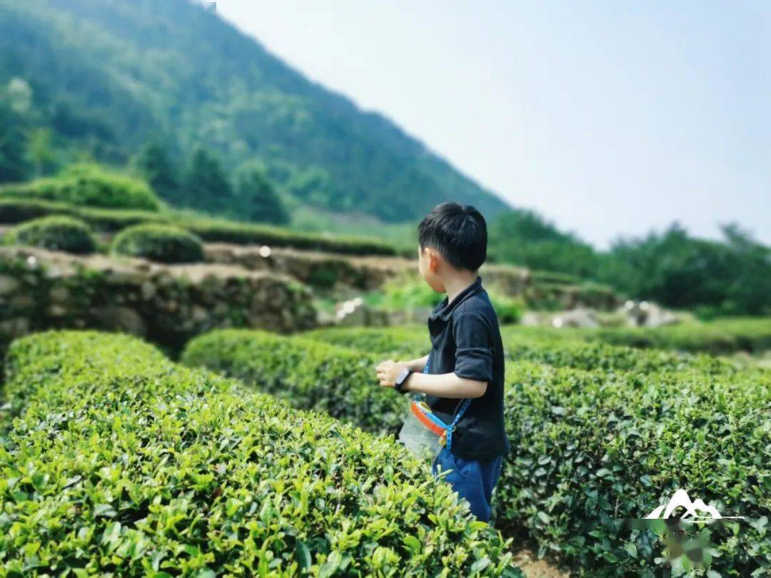 手机文旅崂山首届手机摄影大赛月度评选，请您投出宝贵一票