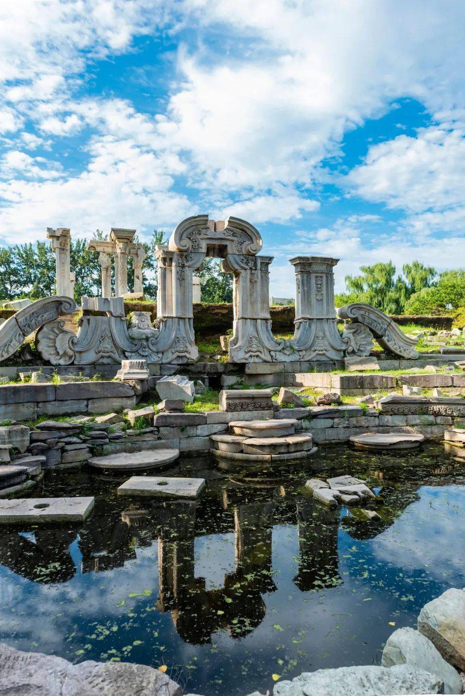 圆明园摄影月赛┃8月获奖作品欣赏2021