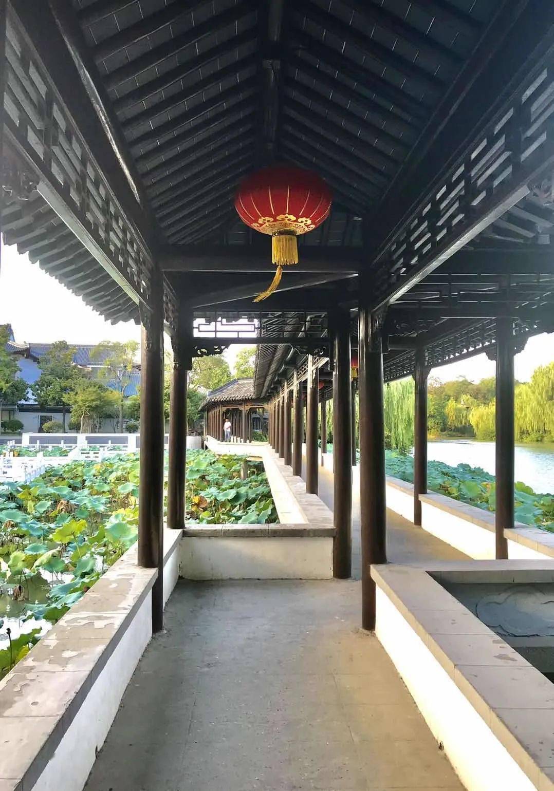 曲廊回转在律动中品味园林志趣