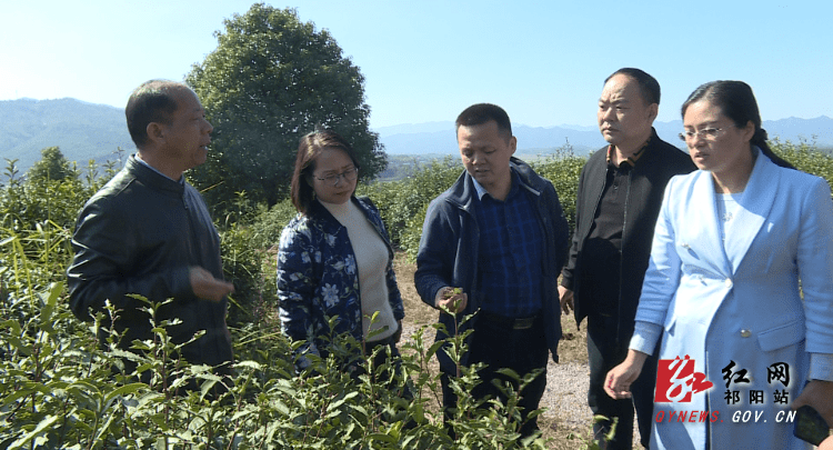 祁阳：科技专家走进田间课堂