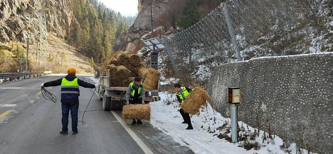 积雪|九寨沟县公路局：扫雪除冰 暖心为民