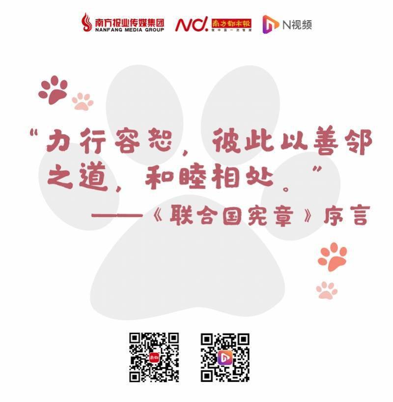 许乐|DUDU猫之国际宽容日（11月16日）：有了宽容，便多了笑容