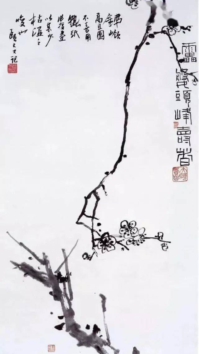 潘天寿写梅| 铁干纵横，老梅新花！_赵永金