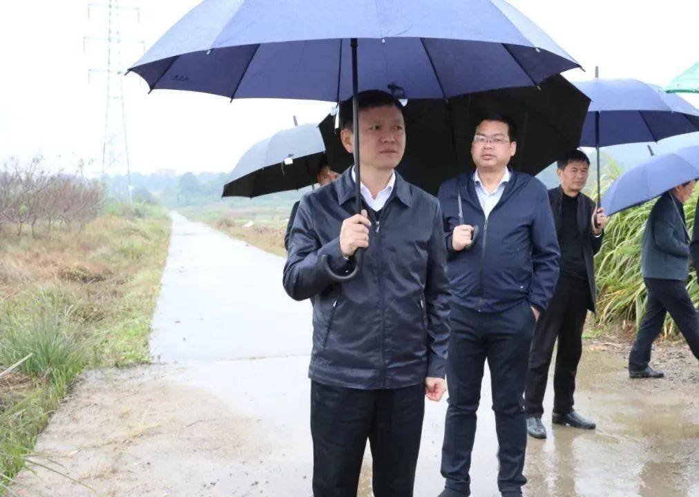 傅正华巡察部分重点项目建设情况_井冈山