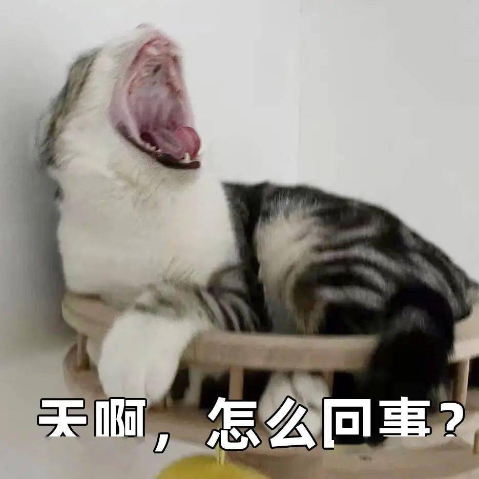 肿瘤|厦门15岁女孩“胃痛”两年多，一查竟是“女儿瘤”！警惕这些症状……