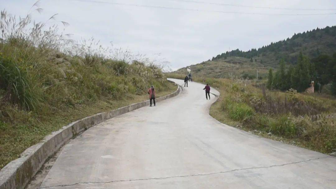 【乡村振兴记者行】大坪场镇夯实农村公路建设 铺就乡村振兴"快车道"