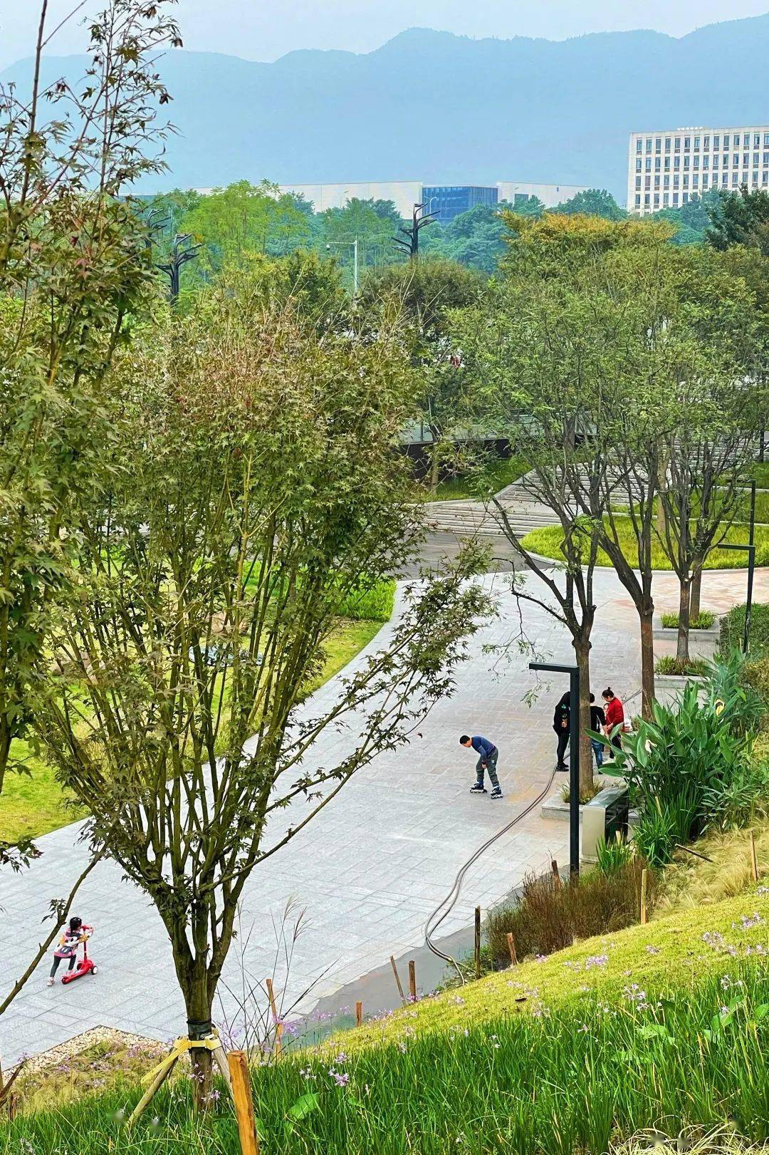 沙坪坝：加快打造宜居宜业的国际化开放新城！