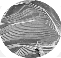 莱雅|理智的成分党都在用什么眼霜抗初老？