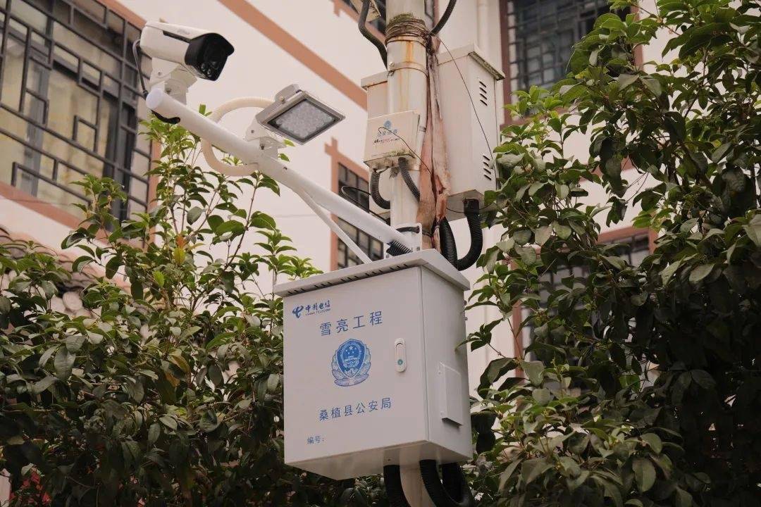 省公安厅来桑督导"雪亮工程"工作