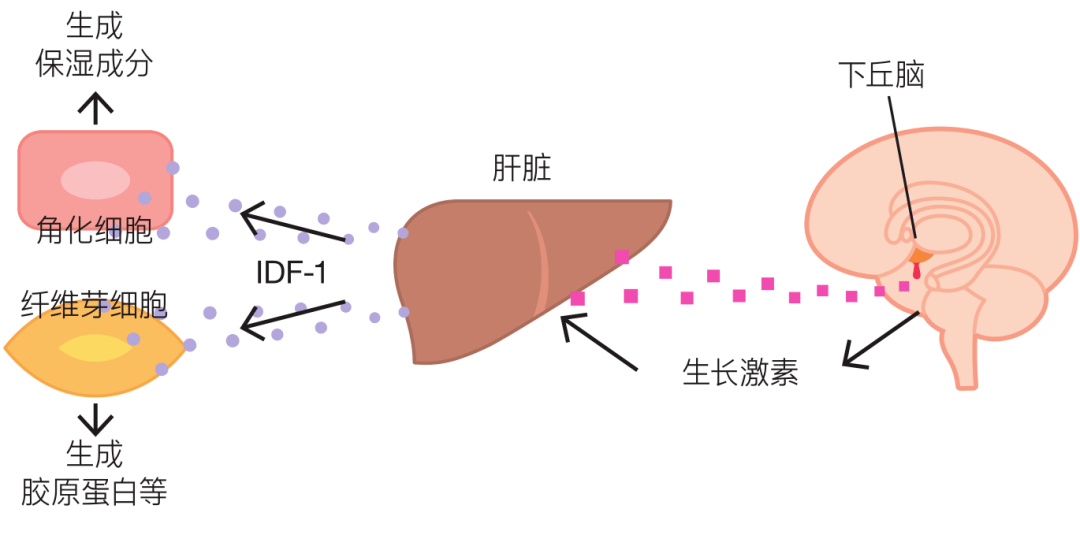 温度优睡眠美容术！3步战胜睡眠不足导致的肌肤问题