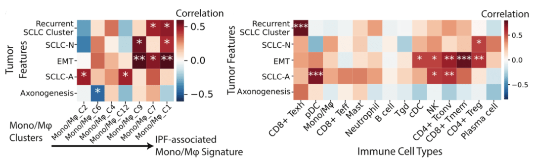 细胞|《细胞》子刊：“小恶魔”大起底！小细胞肺癌究竟为何如此凶残？