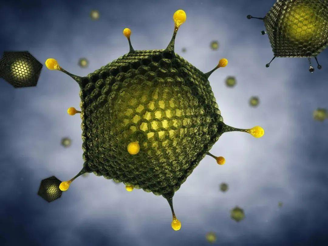 打了一针的腺病毒载体新冠疫苗如何进行加强免疫