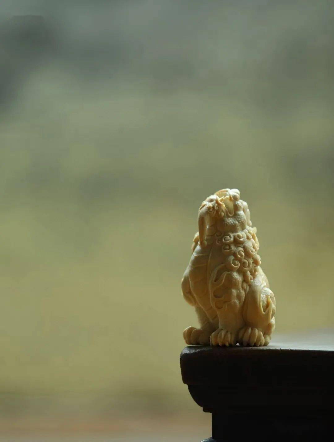 木掌柜,一个忠实的木质类文玩,猛犸象牙雕,观赏石类爱好者与传播者.