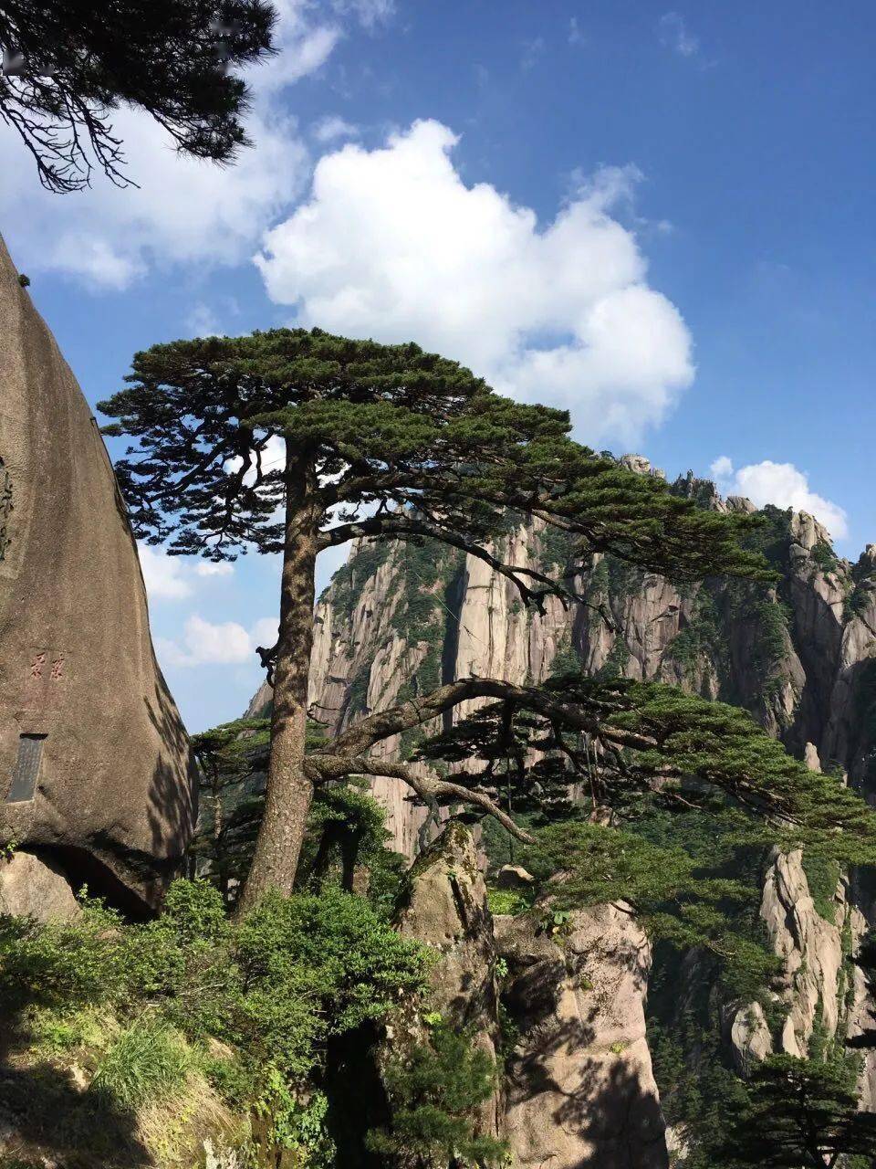 黄山四大景观图片