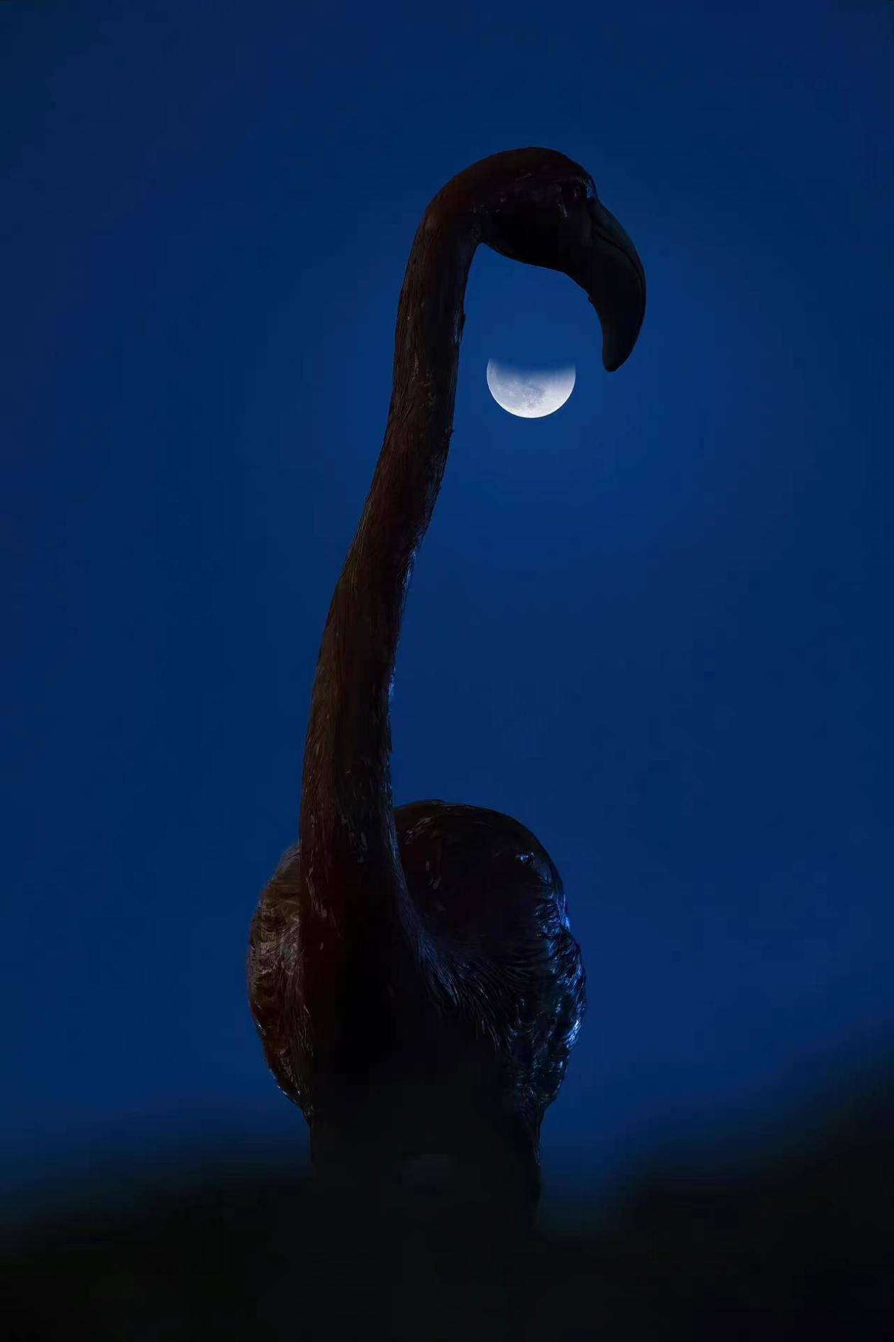 生活在对你微笑！“超长待机”月偏食，你拍到了吗？