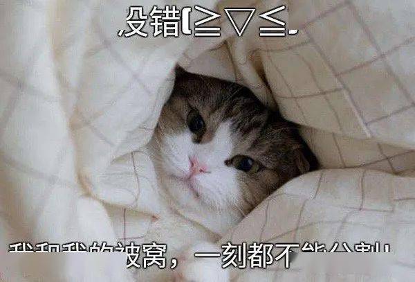 小时候冬天的早上想要起个床到底有多难？