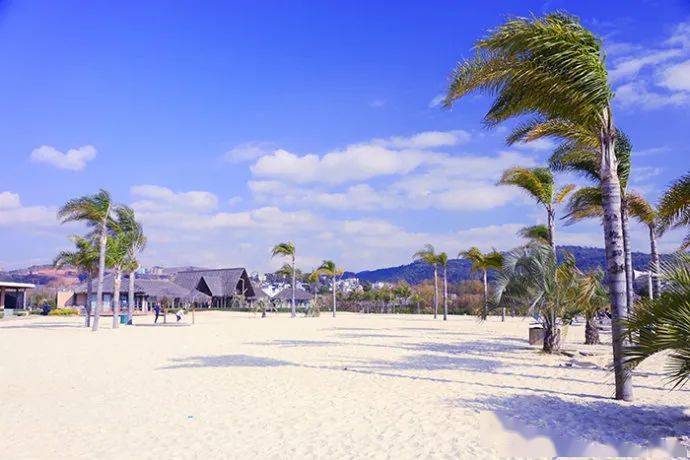 高清美图丨抚仙湖冬季旅游攻略新鲜出炉免费高原湖泊之旅你值得拥有