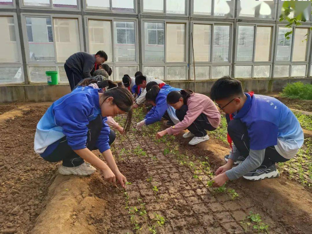 劳动助成长青岛市第三实验初中学农综合实践活动纪实