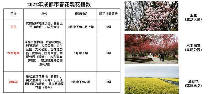 树王|公园城市观花指数来啦！腊梅、芙蓉、还有1900年“树王”......