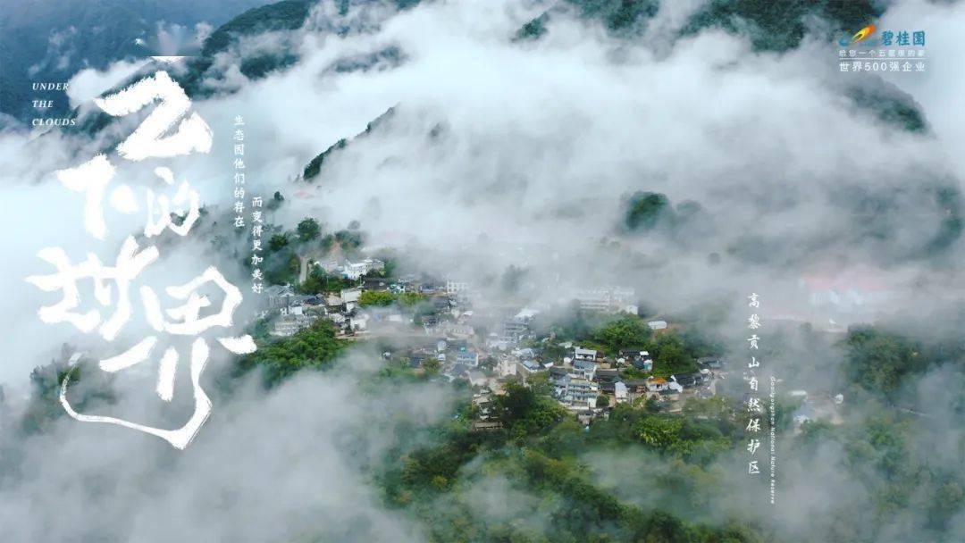 海报国产海报学起来！碧桂园新发布，野味儿十足