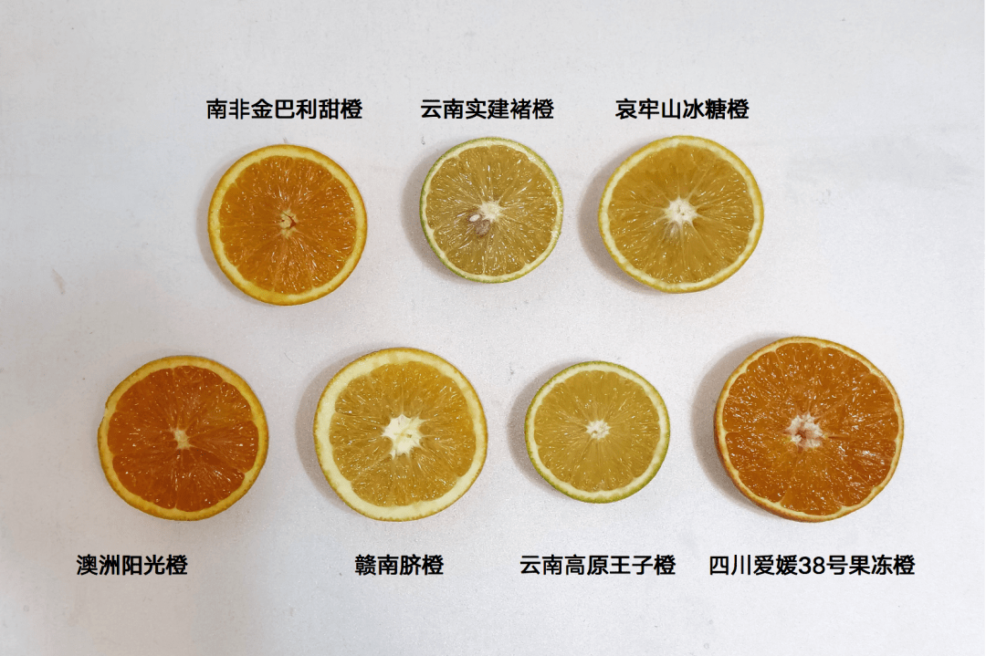 尝遍了热销单上的7种橙子，我推荐这4种！