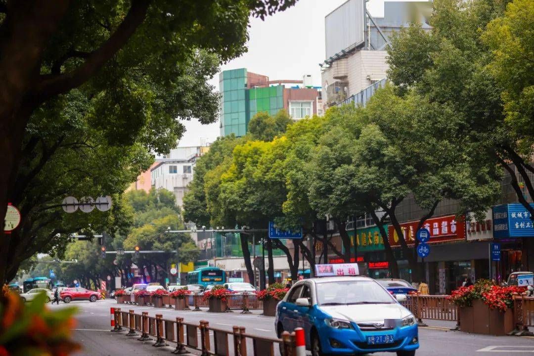 人民路氿滨大道东氿大道陶都路都是一幅浓墨重彩的油画驻足远观 随手