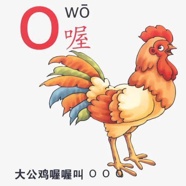 教育|拼音“o”读“欧”还是“窝”？你读对了吗？