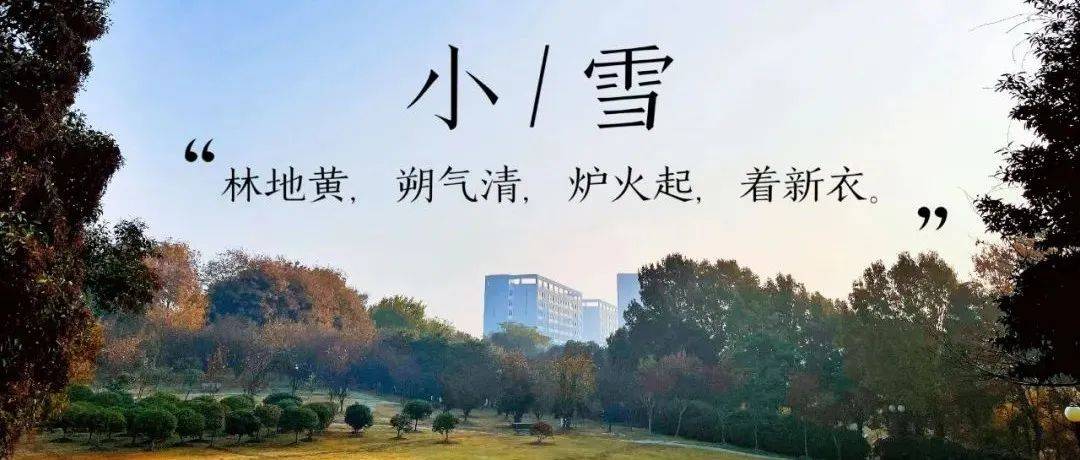 二十四节气 | 【小雪】林地黄,朔气清,炉火起,着新衣。_冬日