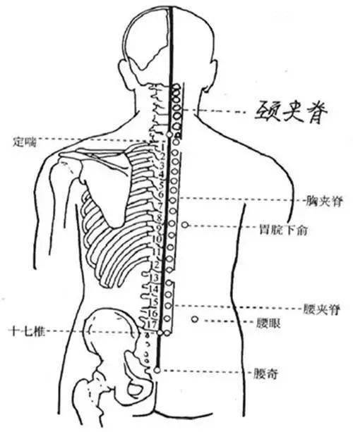 5,天宗:灸法:每次每穴15-20分钟.7-10日一个疗程,每疗程休息2-3天.