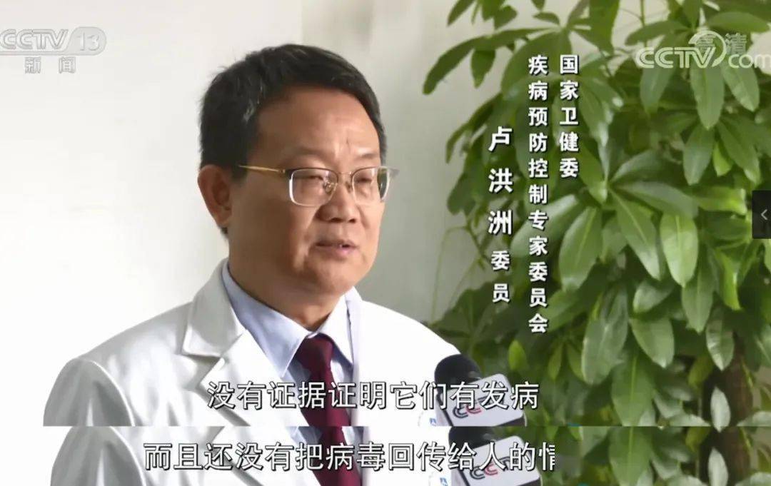 传染给柯基“炒粉”上了央视新闻，卫健委专家明确表示...