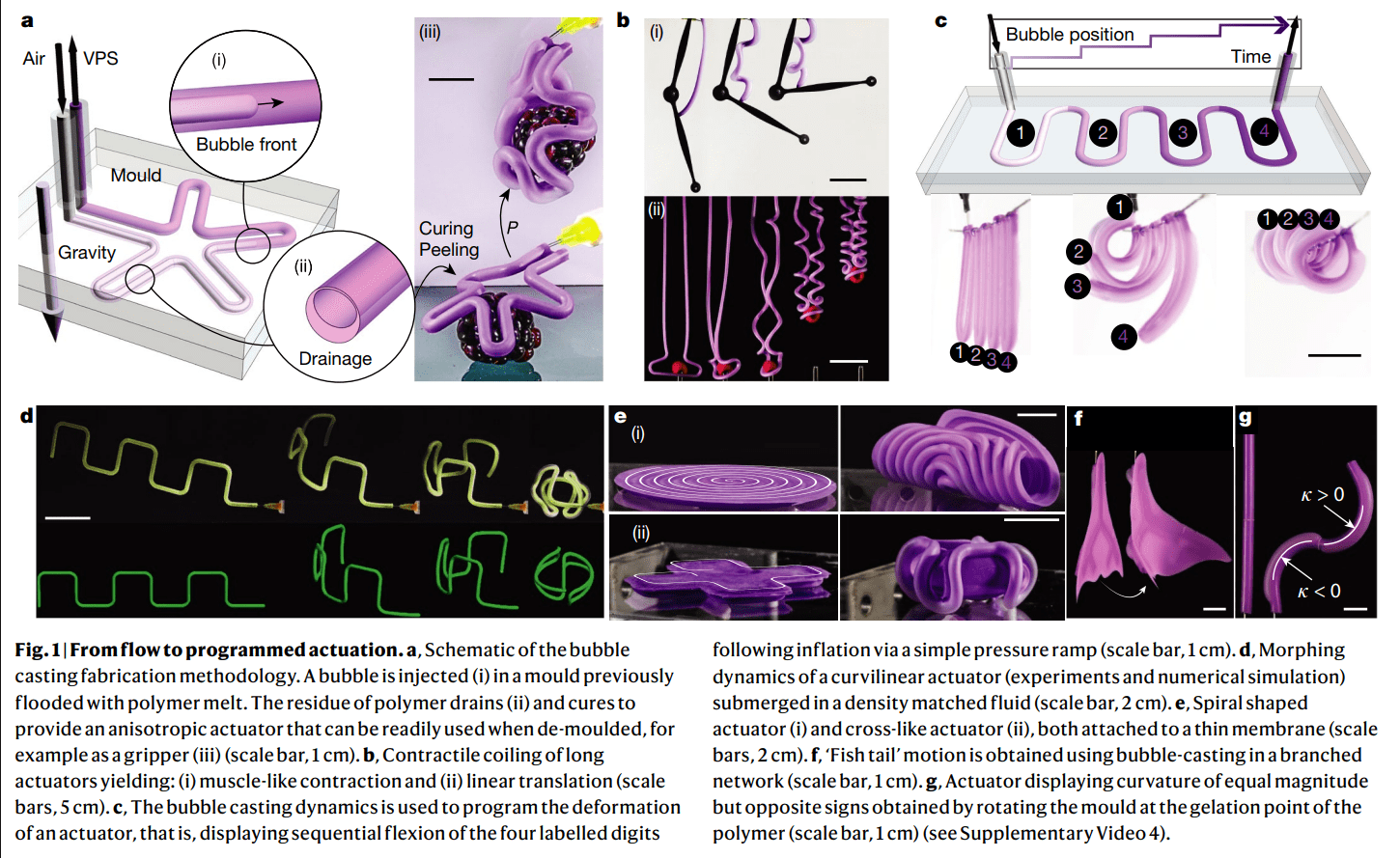 “气泡铸造”登上自然封面：普林斯顿大学开发新型软机器人