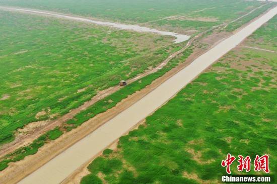 江西鄱阳湖进入枯水期 河床裸露变身滩涂草洲