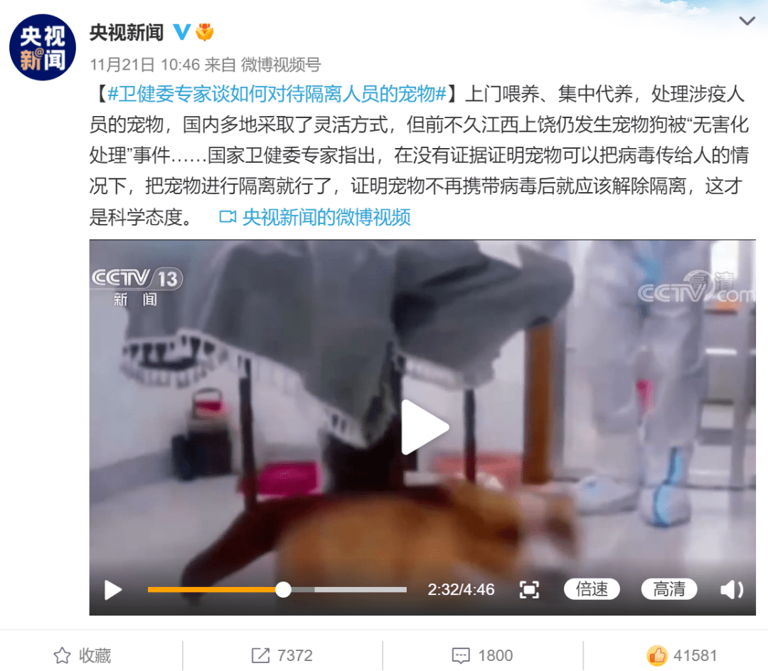 传染给柯基“炒粉”上了央视新闻，卫健委专家明确表示...