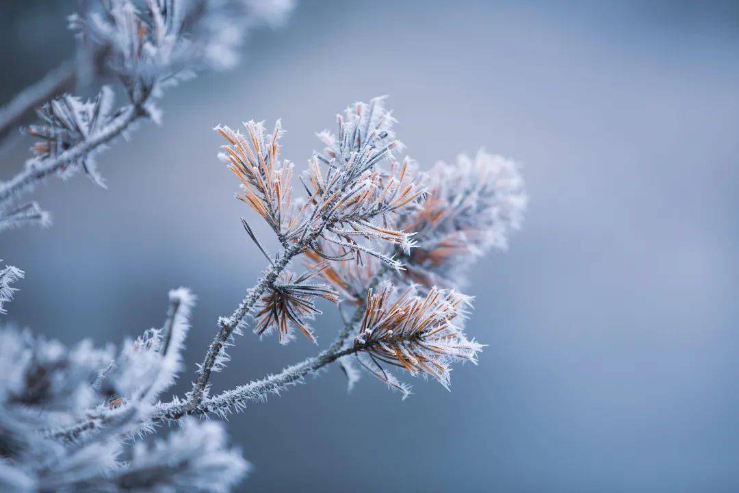 小普说节气丨今日小雪,窗上霜,瓦堆雪,炉生温,冬天的味道浓了