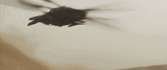 【微软比特熊故事汇】11月英雄故事：理想在现实中闪光，感恩技术让我们相聚