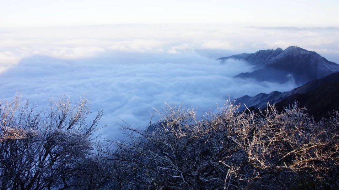 猫儿山首场雾凇惊艳来袭