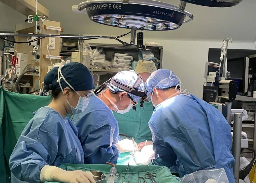 24日,在血液科,麻醉科以及手术室的全力配合下,心血管外科郑少忆主任