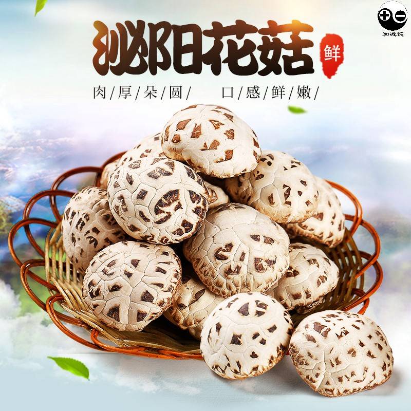 产地:河南省泌阳县所属系列:蔬果品牌内涵:泌阳花菇,河南省泌阳县特产